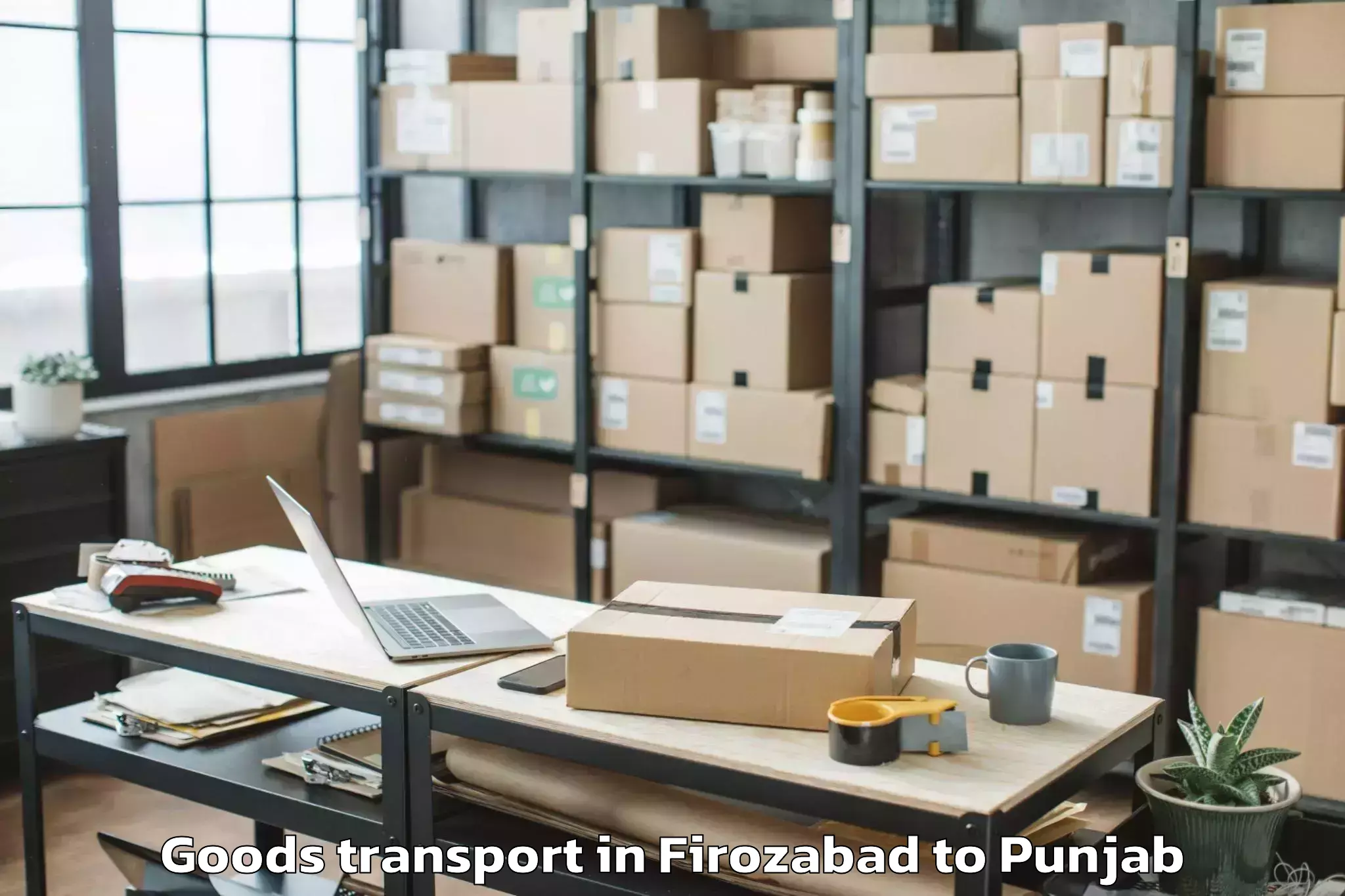 Professional Firozabad to Maharaja Ranjit Singh Punjab T Goods Transport